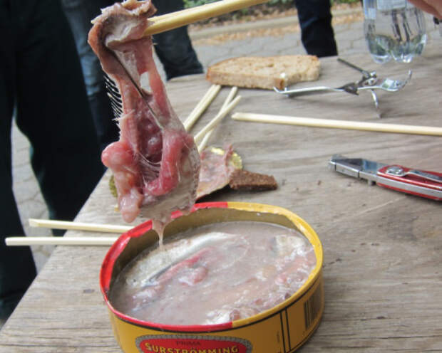 самые странные блюда со всего света
