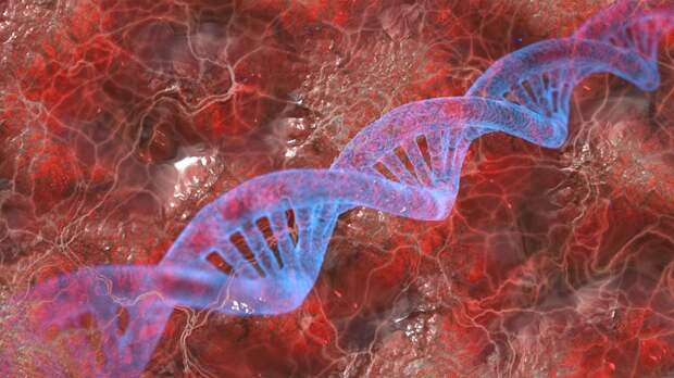 В ДНК современного человека обнаружены следы неизвестных видов