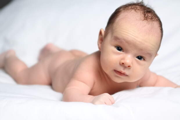 2795685_4354663_large (700x466, 84Kb)