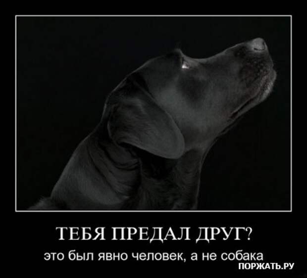 искали демотиваторы?