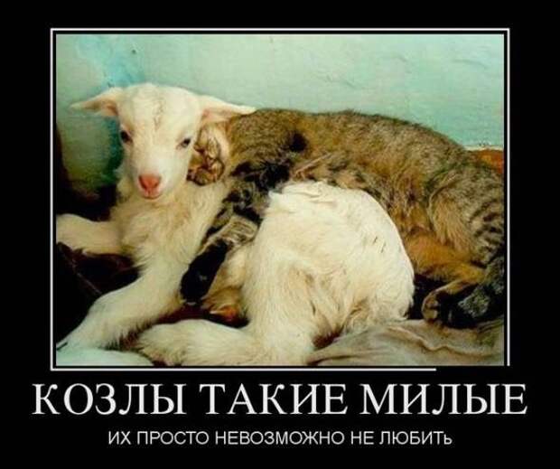 Мини - байки