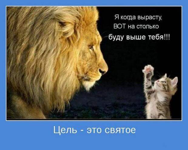 Мотиваторы VII Мотиваторы