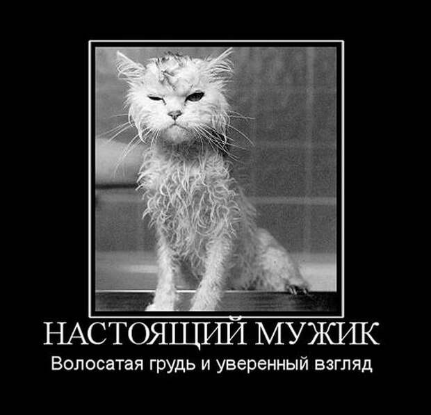 Демотиваторы (30 фото)