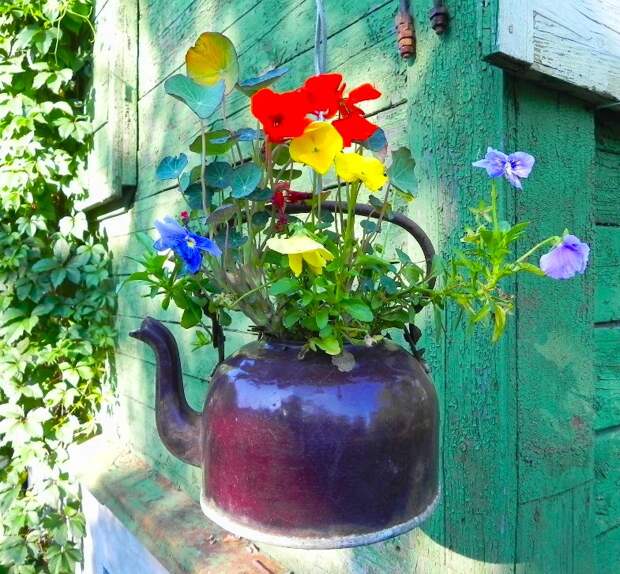 Чайник-ампель!