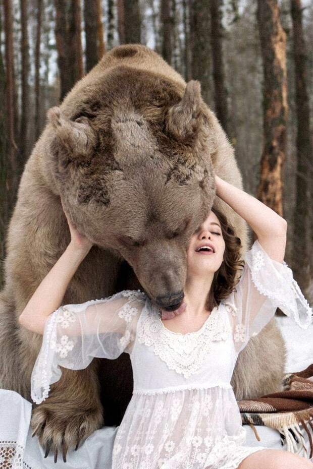 Фотографии моделей с 650-килограммовым медведем в заснеженном лесу Фотографии моделей с 650-килограммовым медведем в заснеженном лесу медведь, фото