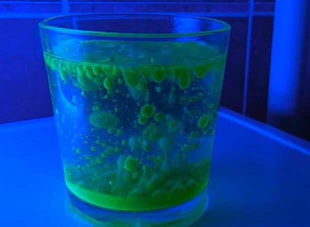 experimentw9.jpg experimentw9.jpg