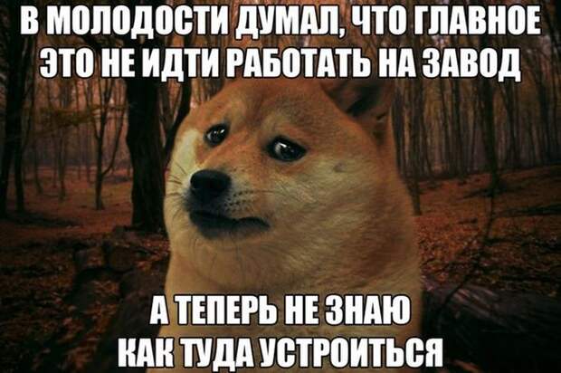 Столкнулся-таки с жизненным прессом сосунок) Столкнулся-таки с жизненным прессом сосунок) завод, прикол, рабочие