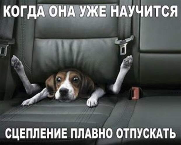 Прикольные фотомемы (22 шт)