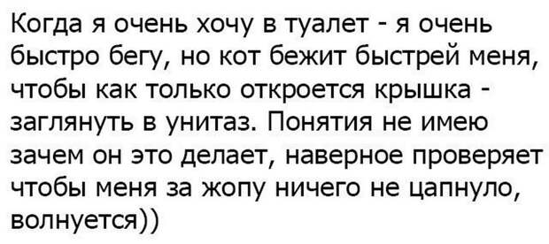 Забавные комменты из социальных сетей (69 фото)