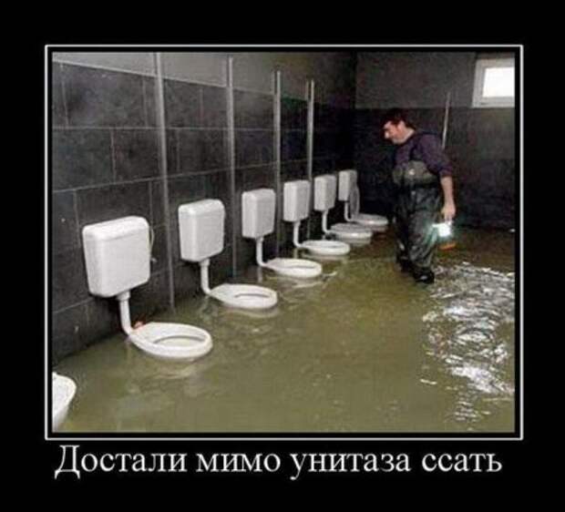 Картинки с надписями классная подборка демотиваторов.