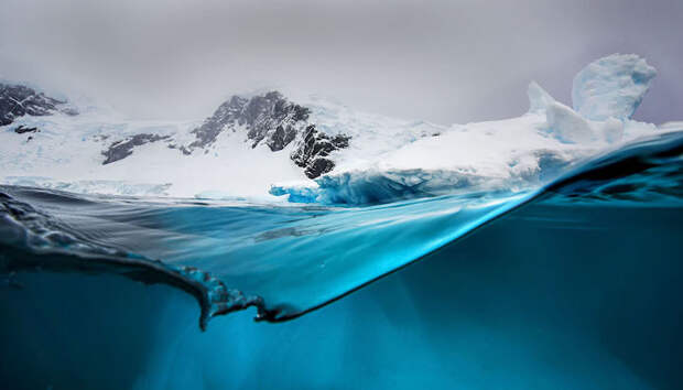 Мир подо льдом Антарктики в фотографиях Стива Мэндла