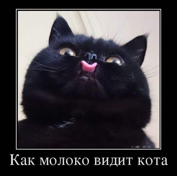 Демотиваторы №1187 (30 фото) Демотиваторы №1187 (30 фото)