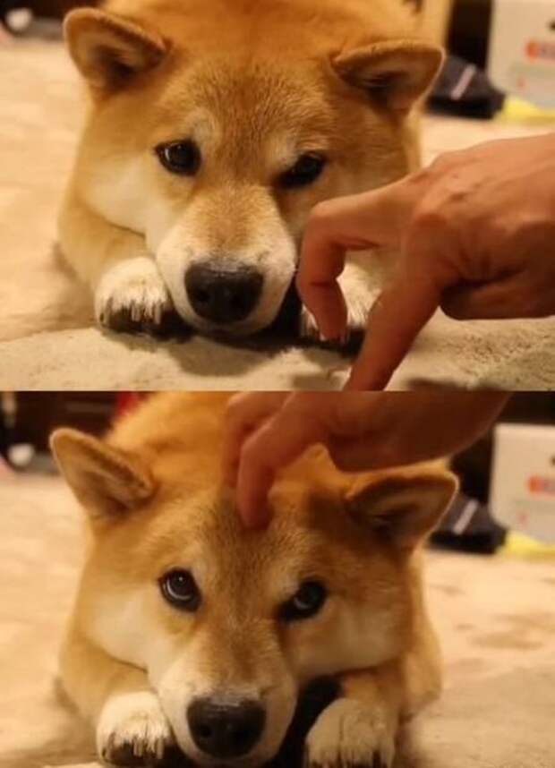 Прикольные картинки абавсём:D Прикольные картинки абавсём:D