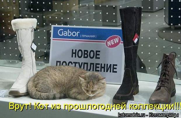 Мысли вслух :)