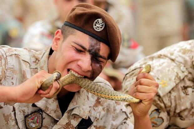 Ливанский спецназовец ест живую змею