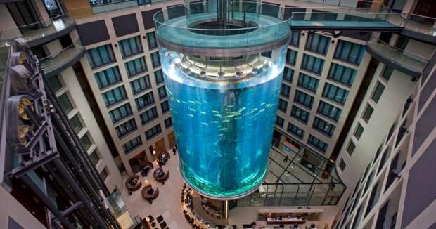 11 самых невероятных аквариумов со всего мира аквариумы, животные, мир, рыбы
