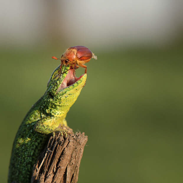 Фото: Татьяна Аверина