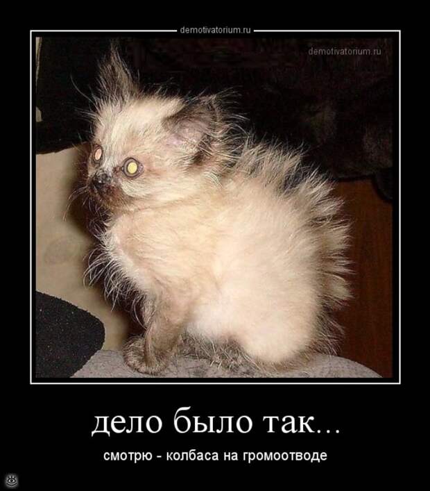 Острые и смешные демотиваторы 12