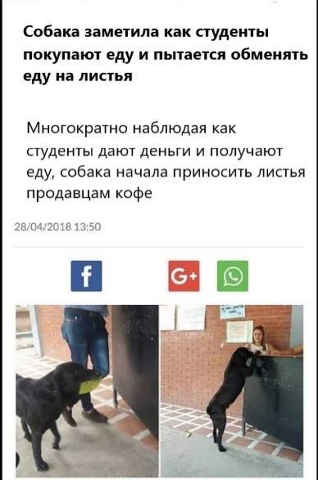 Подборка картинок. Дневной выпуск (24 фото)