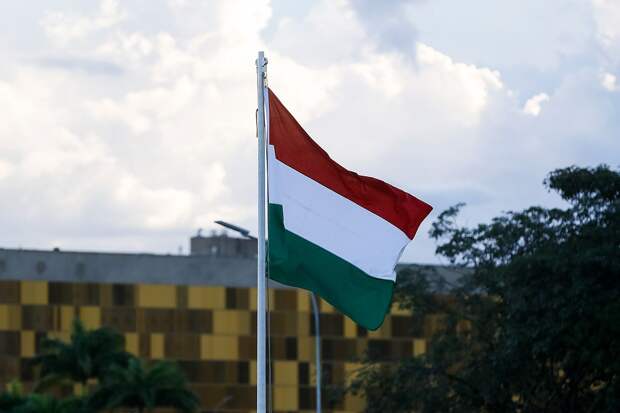 Лидер партии «Тиса» Мадьяр сообщил о победе на выборах в парламент Венгрии