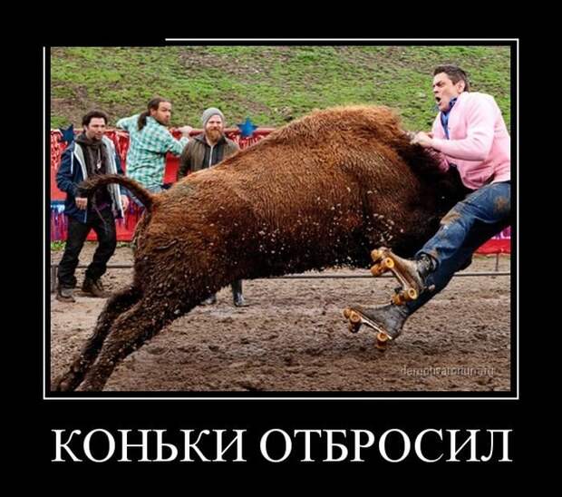 Новые воскресные демотиваторы