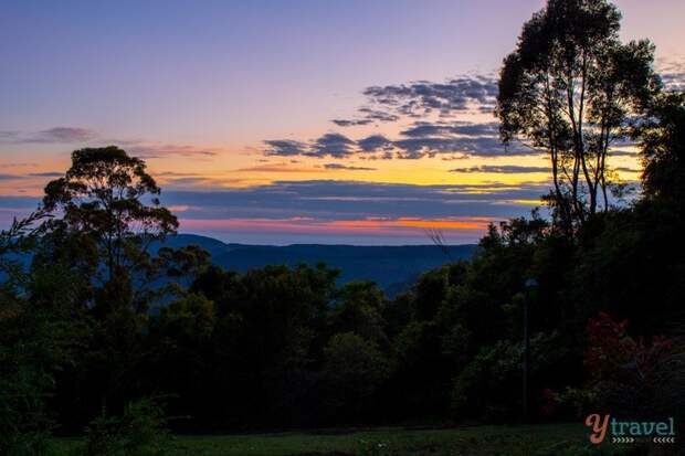 Sunrise at Binna Burra in Lamington National Park, Gold Coast Hinterland, Queensland
