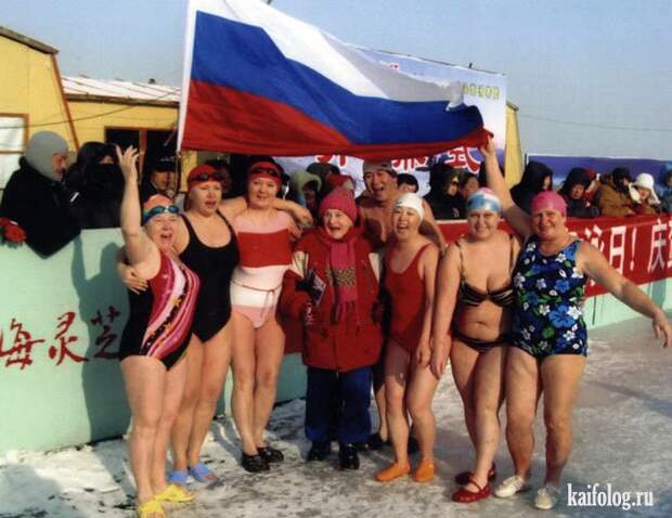 Моржи (55 фото) Моржи (55 фото)