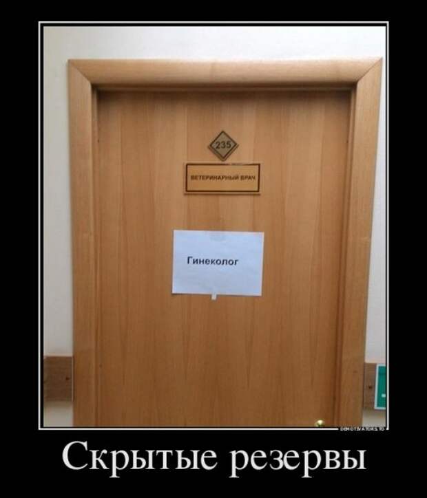 Демотиваторы-приколы для хорошего настроения (14 шт)