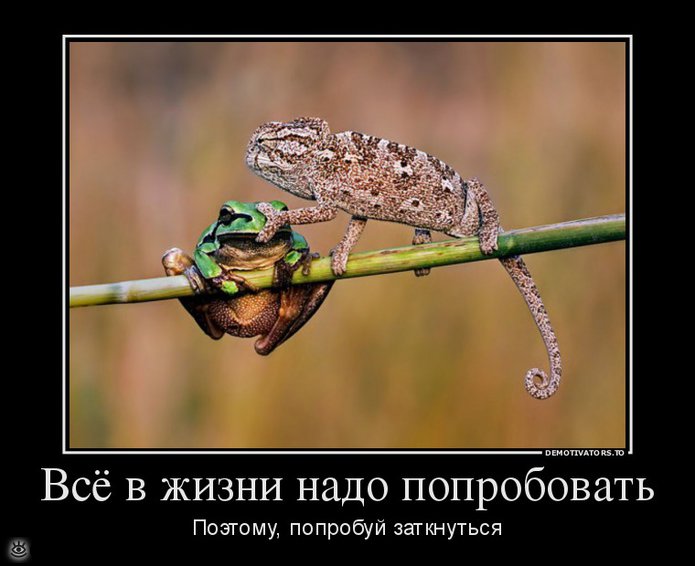 Будь реалистом! 29