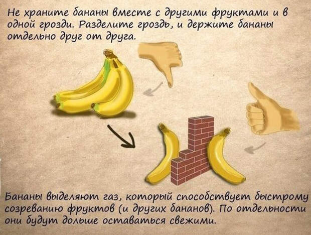 Полезные советы 8