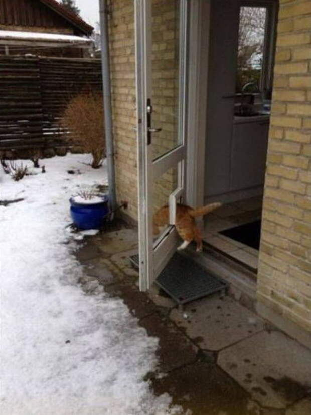 Прикольные картинки Прикольные картинки