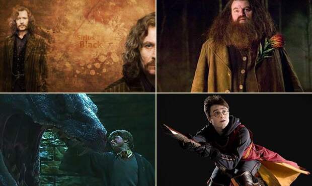 Сириус, Василиск, Хагрид, Хогварт, Quidditch - интересные факты о гарри поттере Сириус, Василиск, Хагрид, Хогварт, Quidditch - интересные факты о гарри поттере