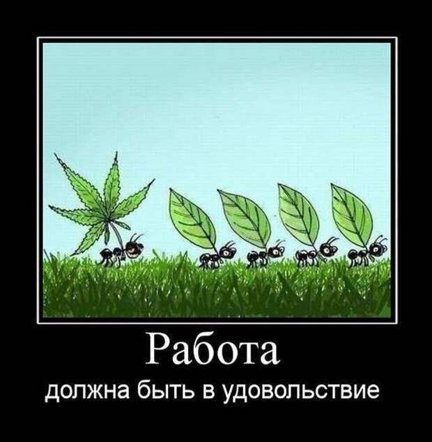 Демотиваторы (30 фото)