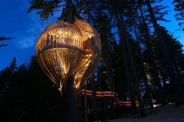 b2ap3_thumbnail_treehouses-7.jpg