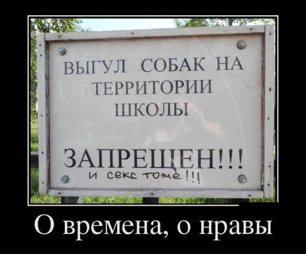 Подборка демотиваторов  демотиватор, юмор