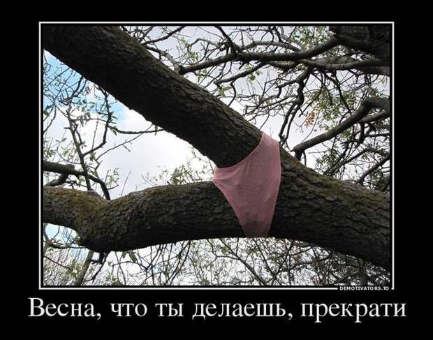 Демотиваторы демотиваторы, юмор