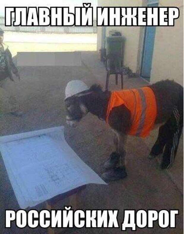 Автомобильный юмор Автомобильный юмор