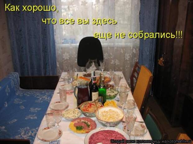 Котоматрица на Бугаге (28 фото)