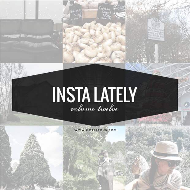 Insta Lately: Vol. 12 | SCATTERBRAIN