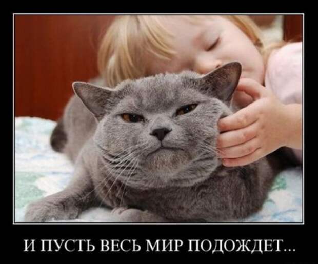 Новенькие смешные демотиваторы.