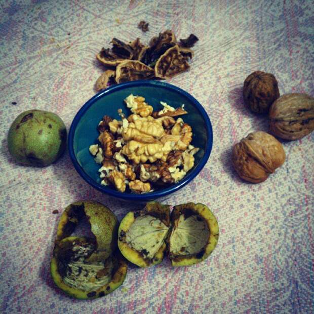 Персидская кухня, иранская кухня, иранская еда, персидская кулинария, кулинария, Иран, Персия, иранская кулинария, кухня, еда