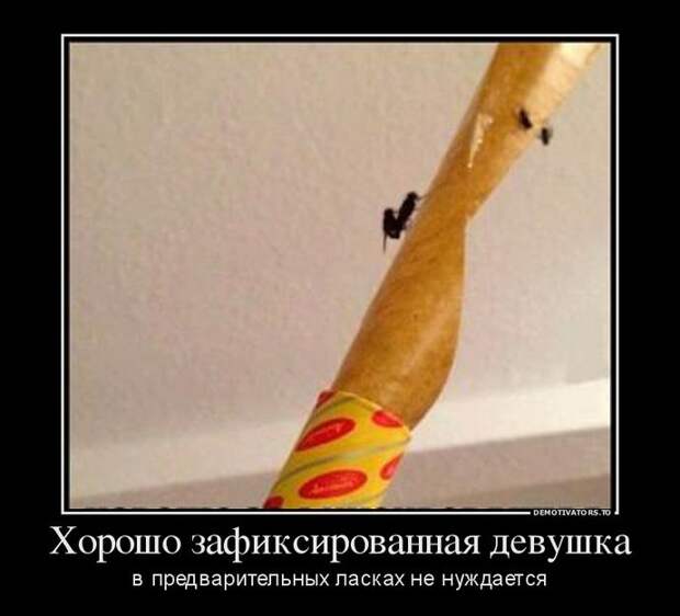 Пятничная подборка демотиваторов  демотиватор, юмор