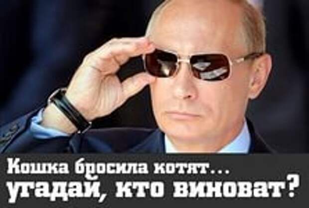Инфоснаряды и сведения: Путинвиноват, восьмой выпуск