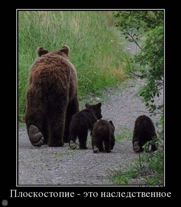 Не забывай включить мозг! 20