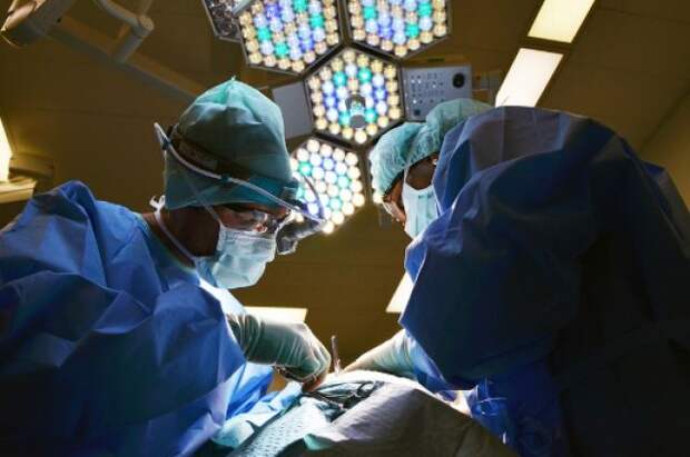 Медведев поздравил медицинских работников с профессиональным праздником