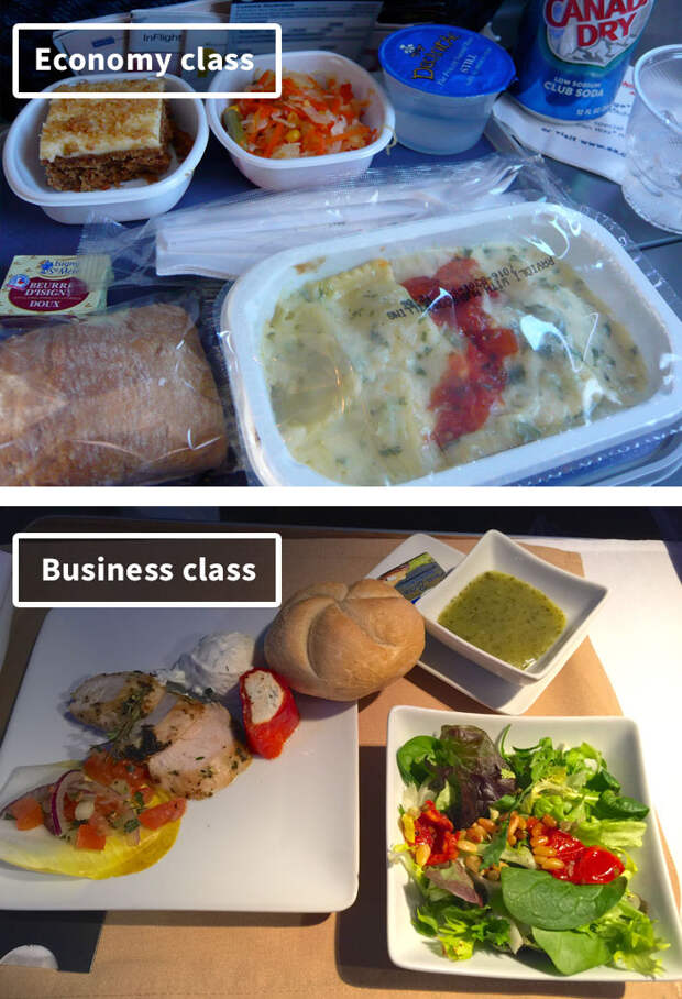 American Airlines-airline-food