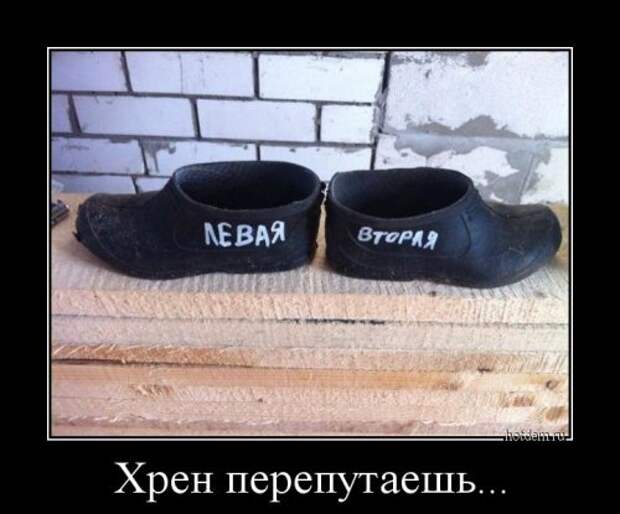 Свежая коллекция демотиваторов (22 шт)