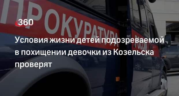 Условия жизни детей подозреваемой в похищении девочки из Козельска проверят