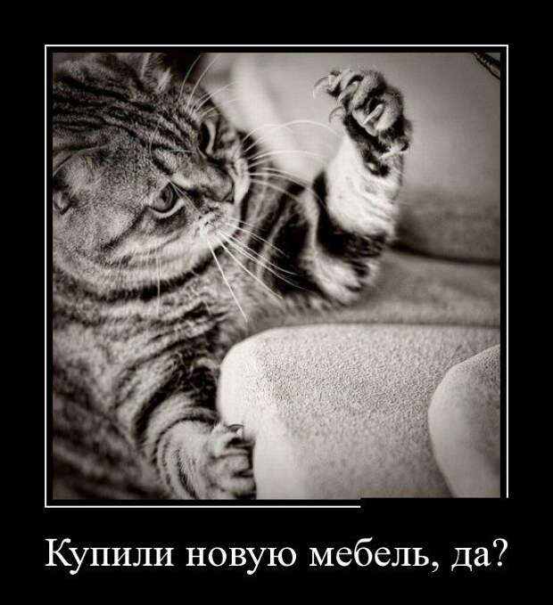 Демотиваторы демотиваторы, прикол, смех, юмор