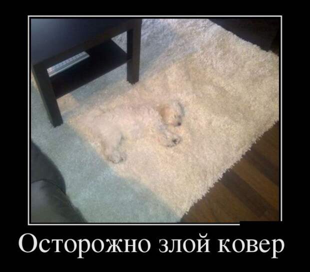 Демотиваторы (30 фото) Демотиваторы (30 фото)